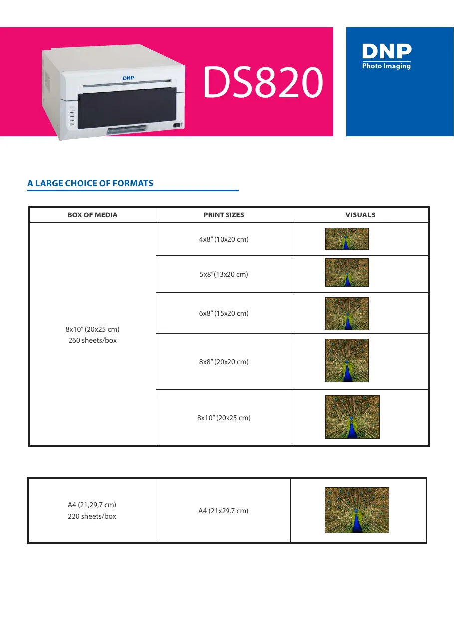 Cover of DS820 print sizes