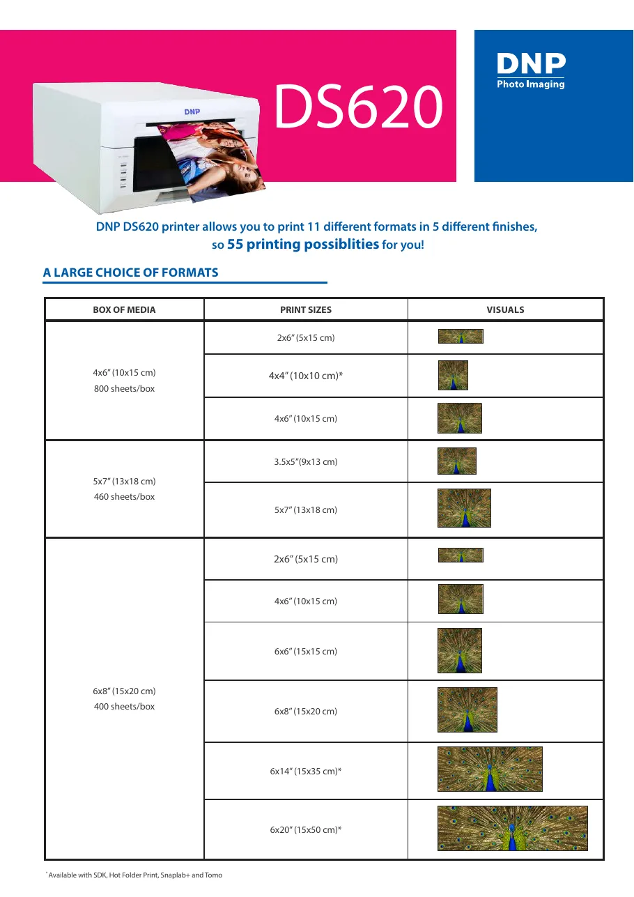 Cover of DS620 print sizes